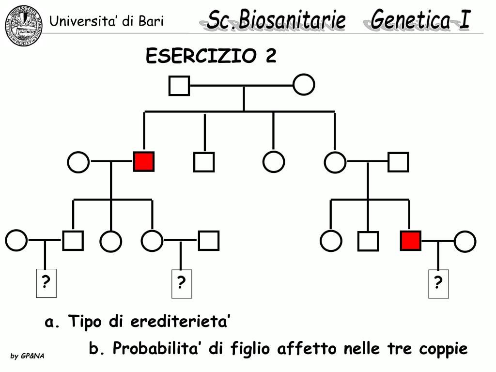 Esercizi Alberi Genealogici Zanichelli Con Soluzioni PPT - ALBERI GENEALOGICI E LORO INTERPRETAZIONE PowerPoint Presentation