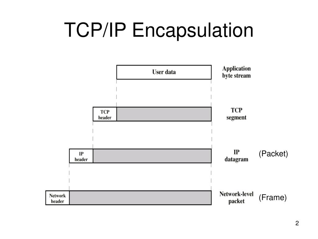 Tcp. Архитектура стека TCP/IP. Структура пакета Ethernet TCP/IP. Структура стека протоколов TCP/IP. Состав TCP пакета.