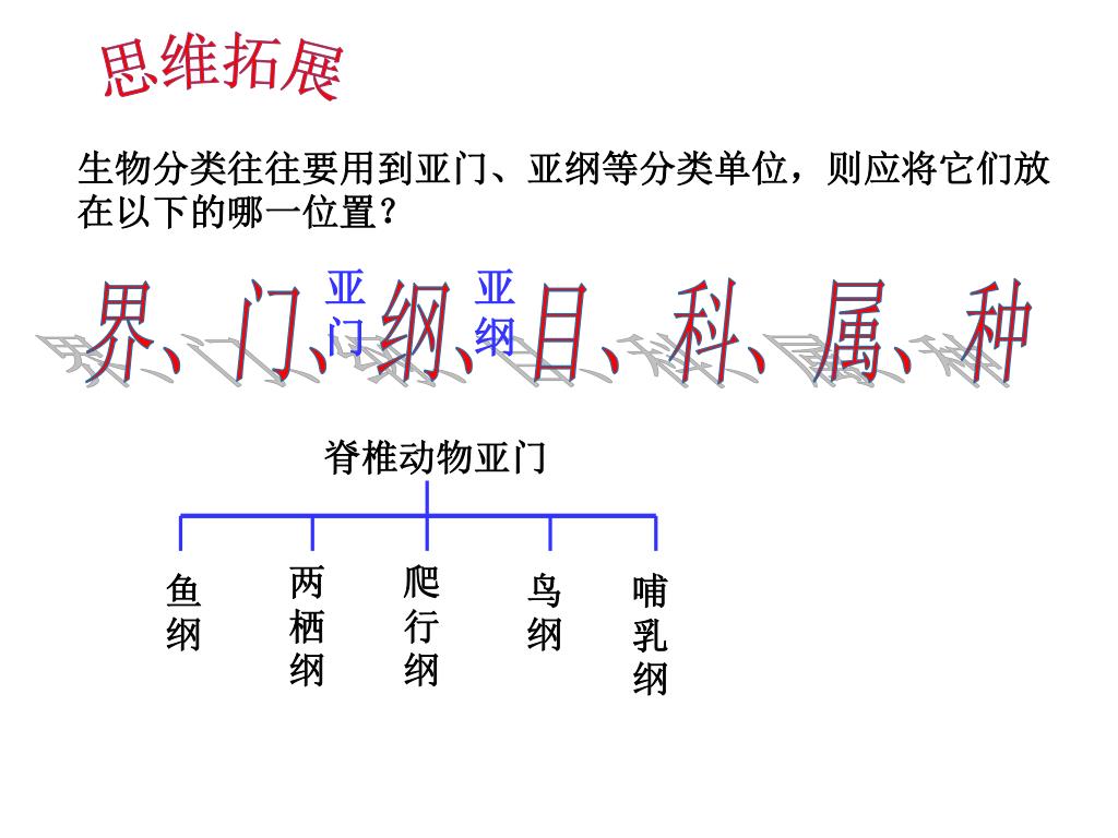 Ppt 从种到界powerpoint Presentation Free Download Id