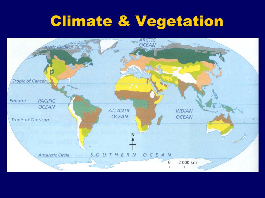 PPT - Climate & Vegetation PowerPoint Presentation, free download - ID