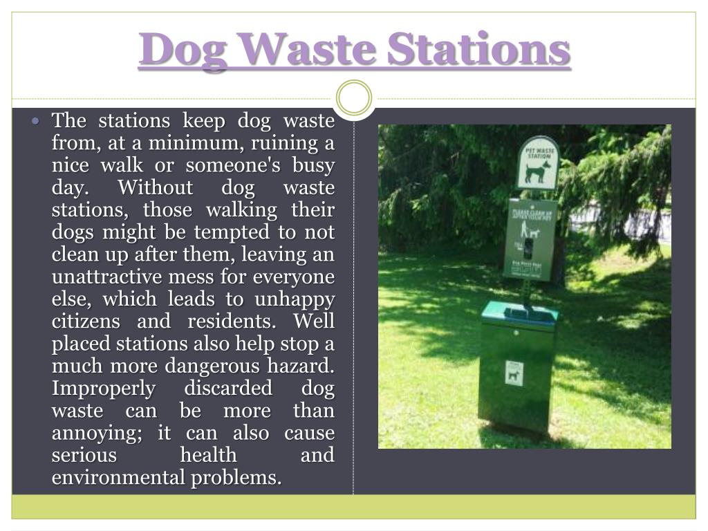 PPT Dog Waste Stations PowerPoint Presentation, free download ID