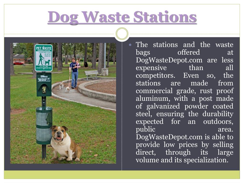 PPT Dog Waste Stations PowerPoint Presentation, free download ID