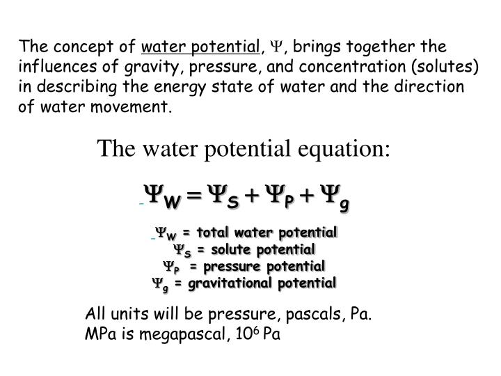 water potential equation