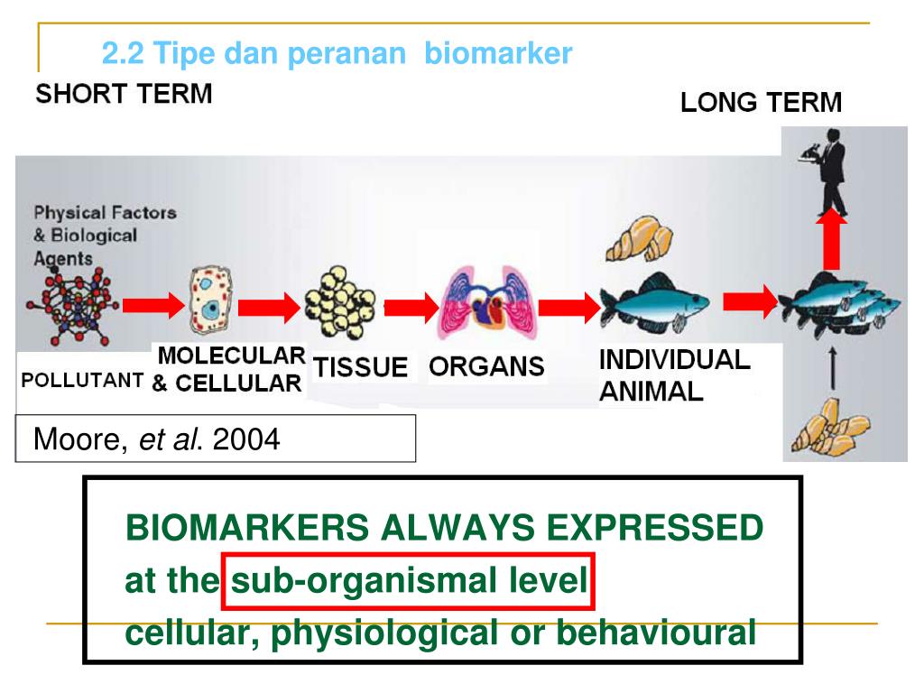 Биомаркеры это. Биомаркеры нефти. Биомаркеры. Биомаркеры картинки для презентации.
