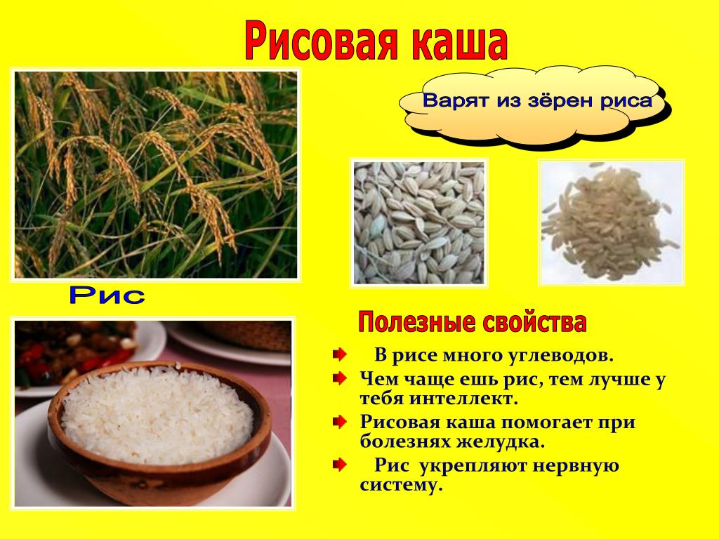 Различие риса. • Злаковые каши полезные. Каши из круп. Крупы для каш. Зерновые рис крупы.