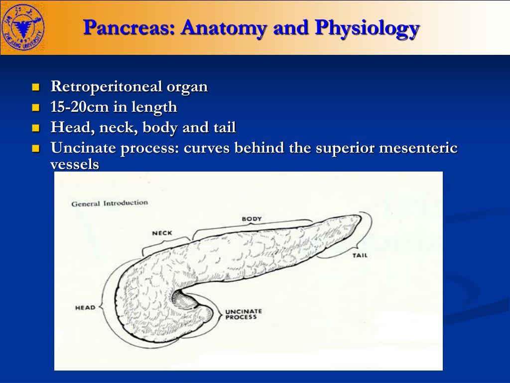 PPT - Pancreatic diseases PowerPoint Presentation, free download - ID