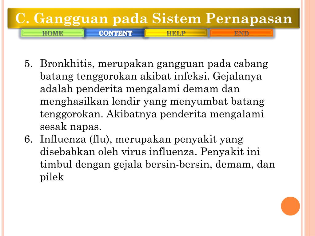 Ppt Sistem Pernapasan Pada Manusia Powerpoint Presentation Free Download Id 4299991