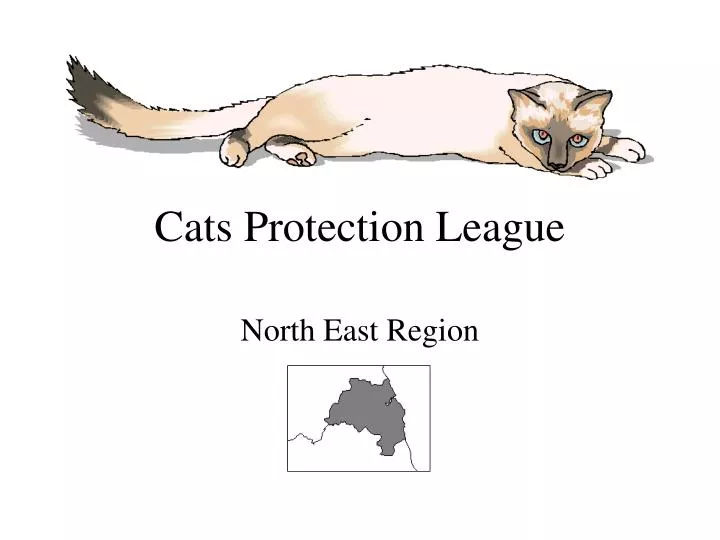 PPT Cats Protection League PowerPoint Presentation, free download