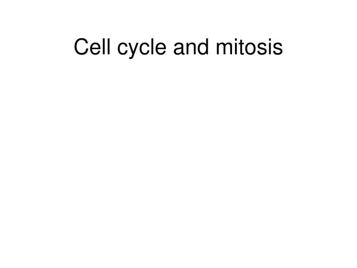 cell cycle and mitosis n.