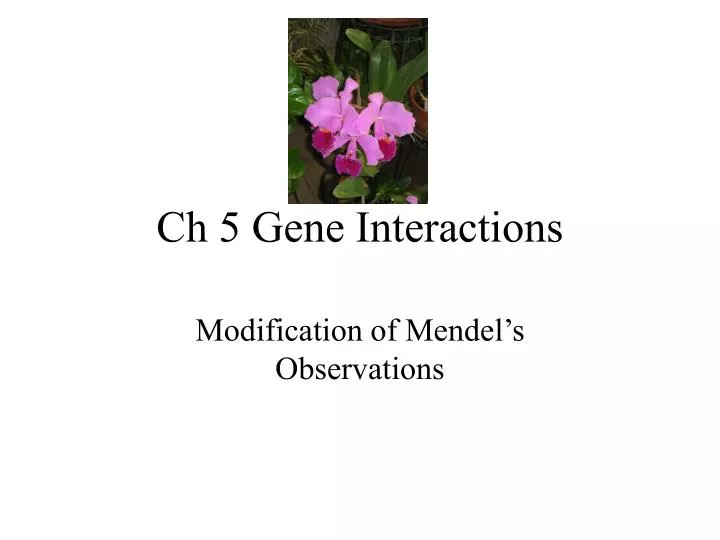Ppt ch 5 gene interactions powerpoint presentation free download