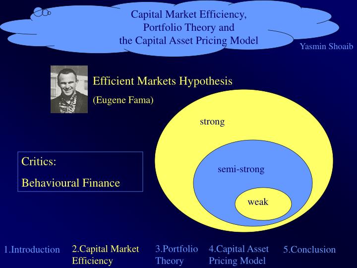 capital market theory capital market theory