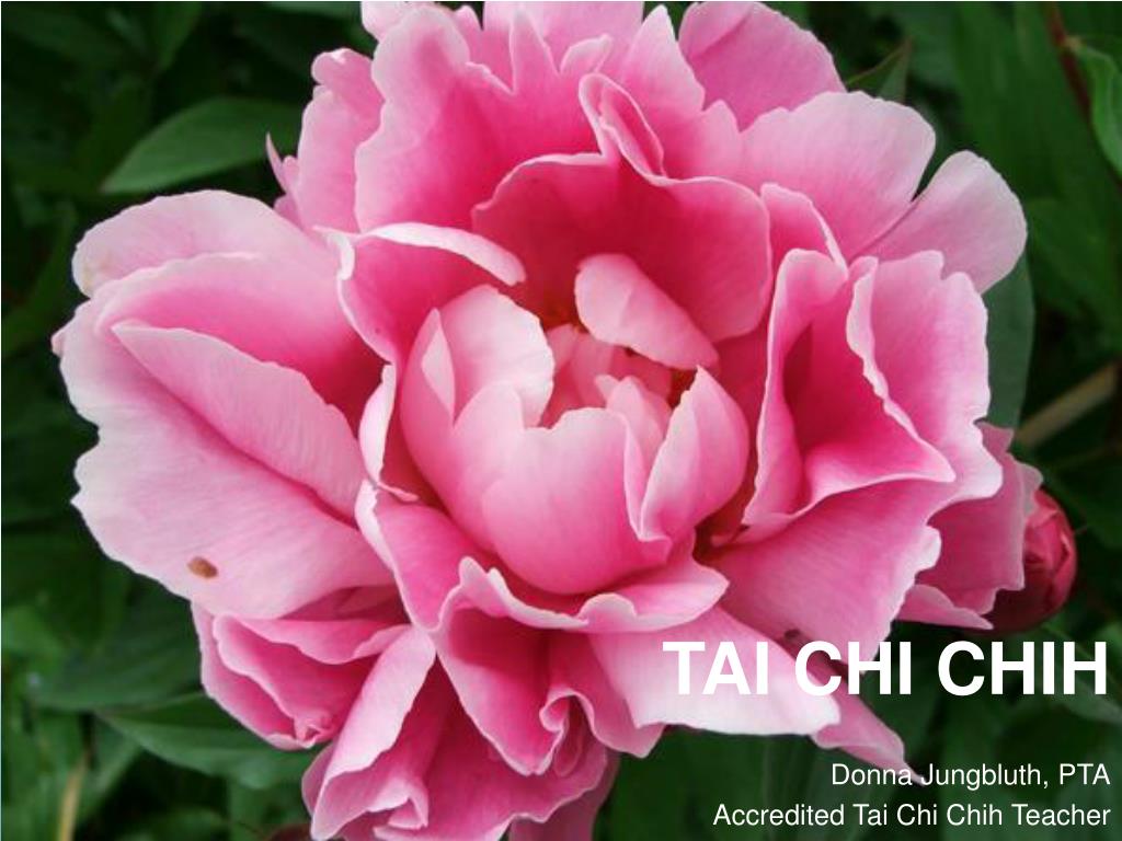 PPT TAI CHIH PowerPoint Presentation, download - ID:4306430