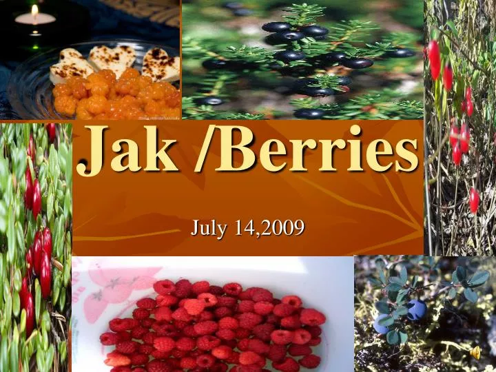 jak berries n.