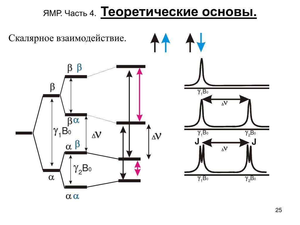 Явления магнитного резонанса. ЯМР. Ядерный магнитный резонанс. Спектроскопия ядерного магнитного резонанса. Теоретические основы метода ядерного магнитного резонанса.