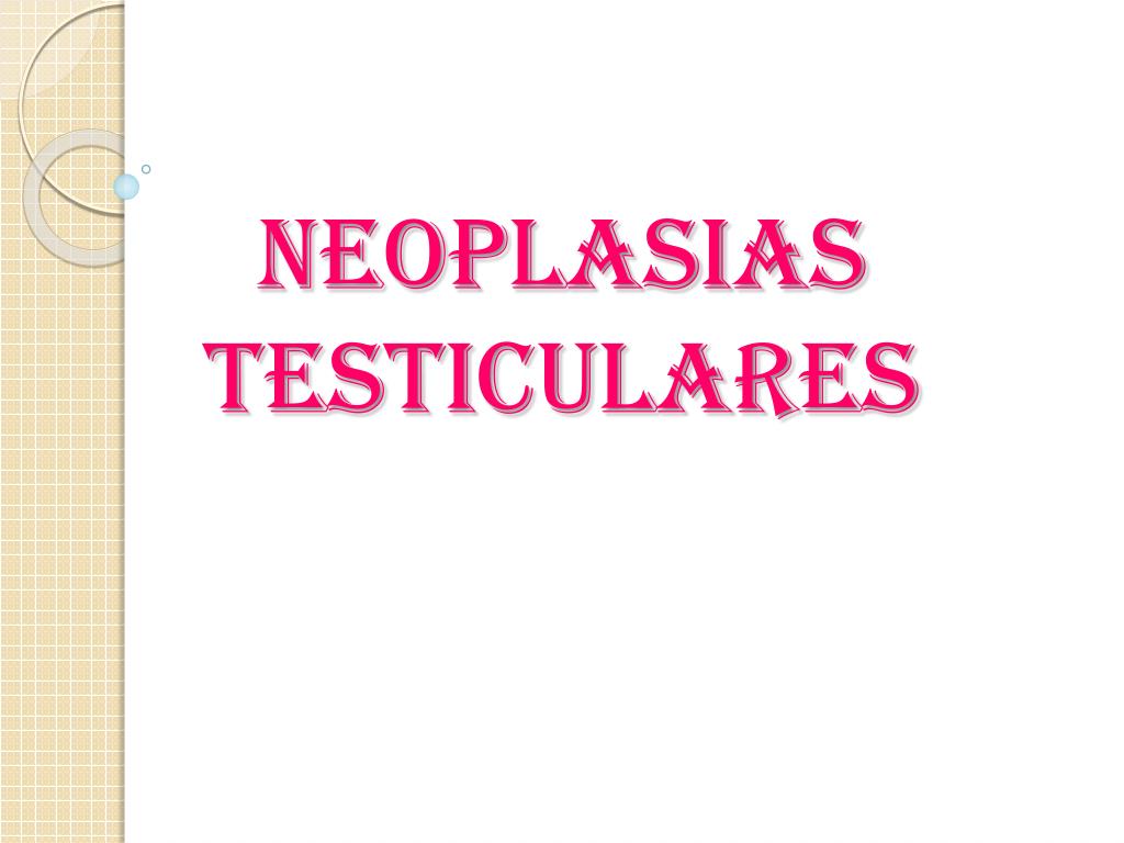PPT - Neoplasias Testiculares PowerPoint Presentation, free download -  ID:4309565