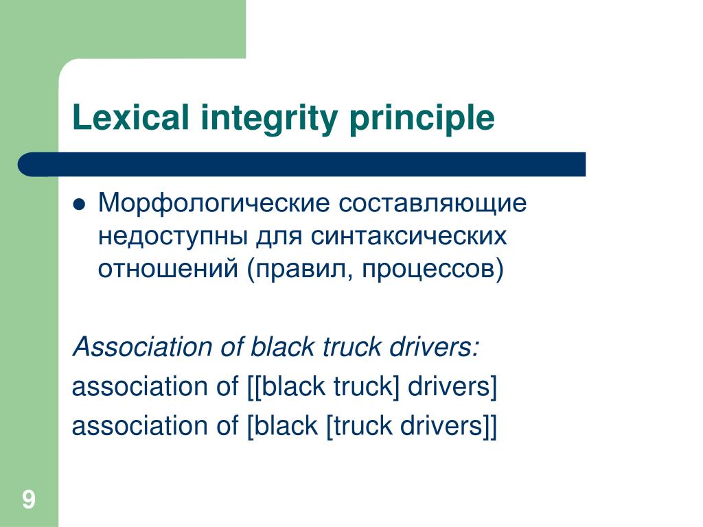 Морфологические составляющие текста. Lexical фото. Integrity principle. Lexical approach. Lexical Station.
