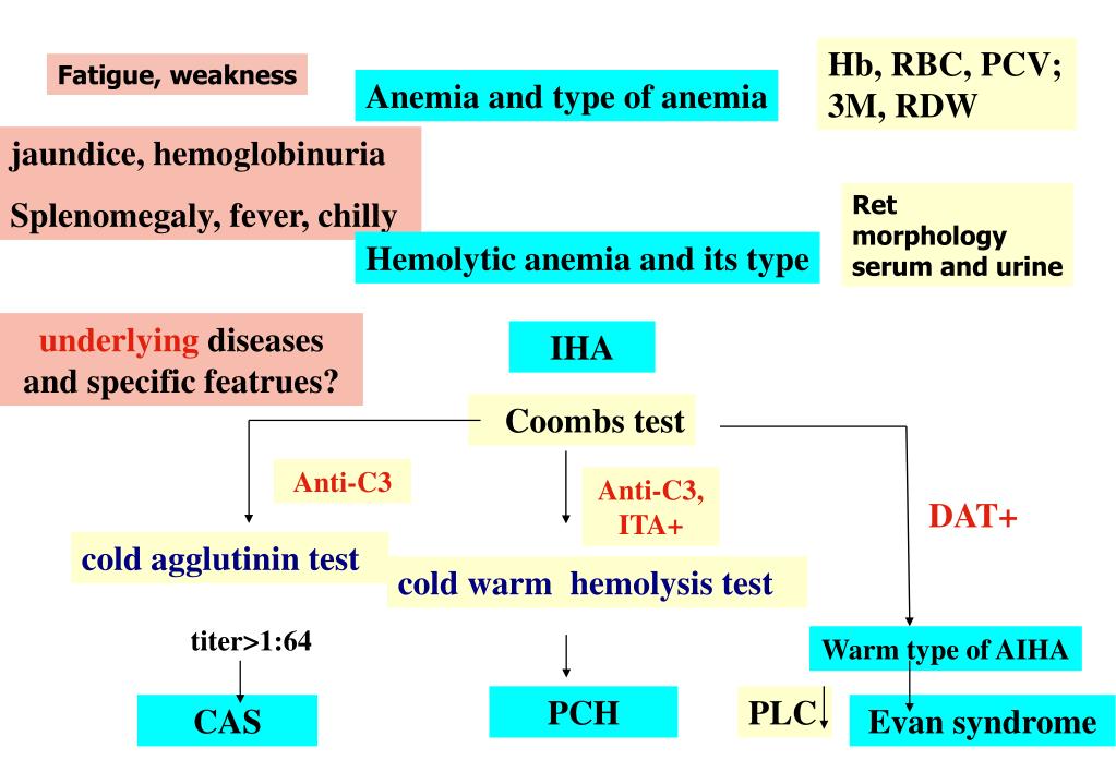PPT - Immune Hemolytic Anemias (IHA) PowerPoint ...