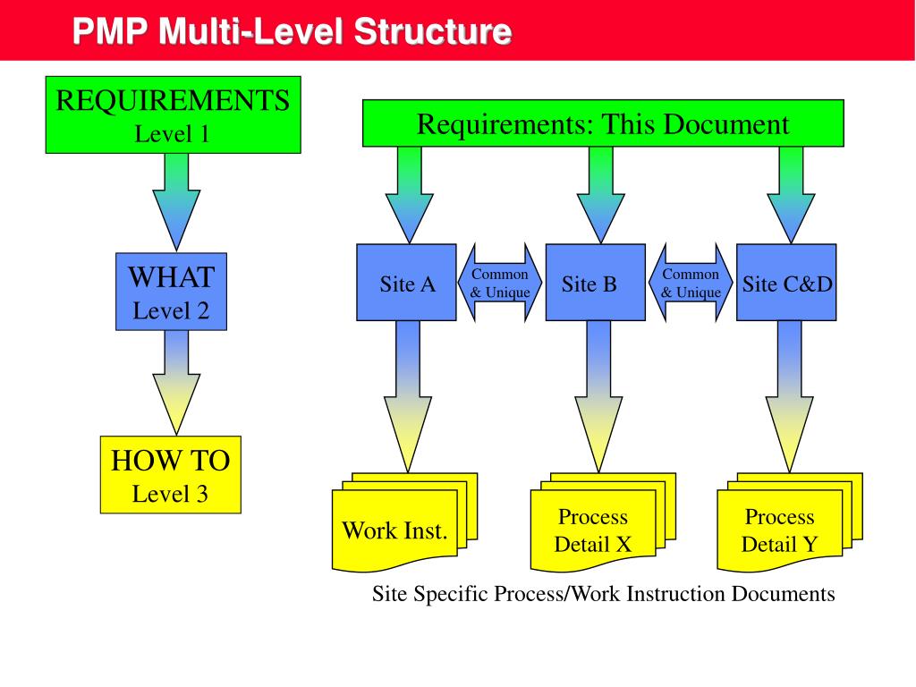 Level requirement. PMP уровень сертификации. Структура PMP. Project Management professional. Структура pdf файла.