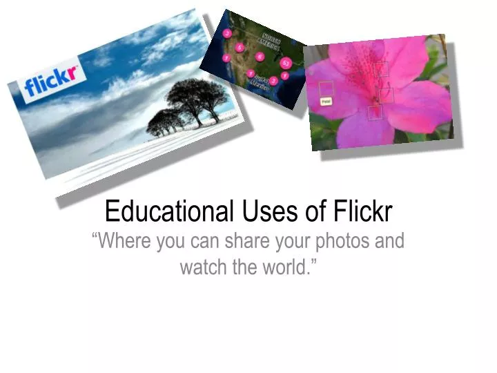 educational uses of flickr n.