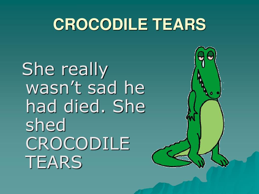 Crocodile Tears Idiom Meaning, Sentence Examples, How to Use Guide