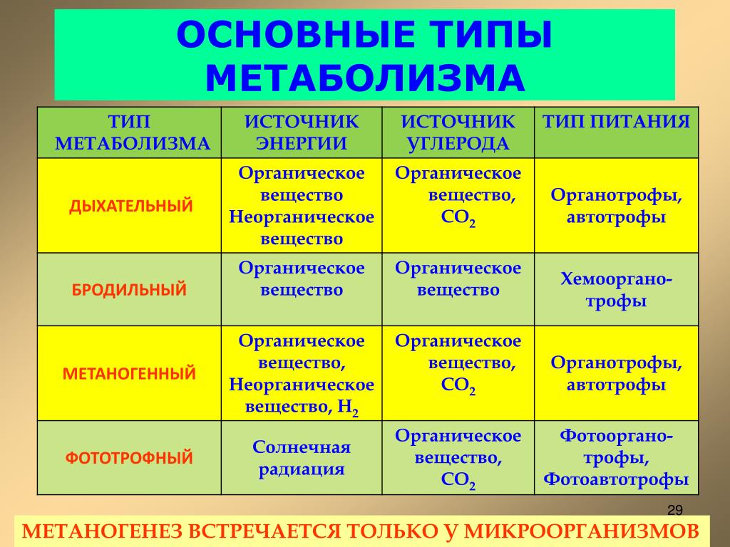 Энергетический типаж личности. Типы обмена веществ. Типы метаболизма. Типы обмена веществ таблица. Типы метаболизма в живых организмах.