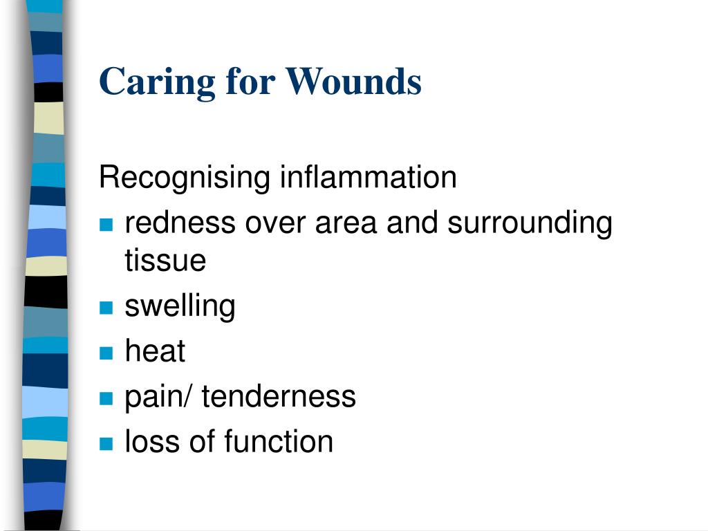 PPT - Principles of Wound Care PowerPoint Presentation, free download