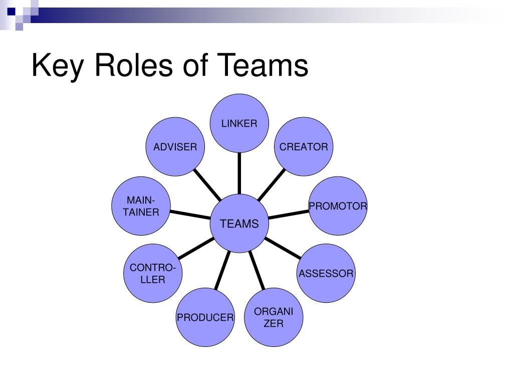 team-members-roles-assessment-performance-achievement-system