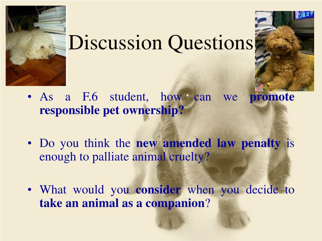 PPT - Animal Cruelty PowerPoint Presentation, free download - ID:4328195