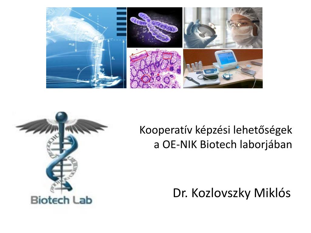 PPT - Kooperat ív képzési lehetőségek a OE-NIK Biotech laborjában  PowerPoint Presentation - ID:4331605