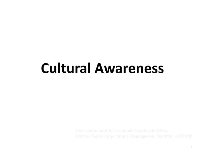cultural awareness n.