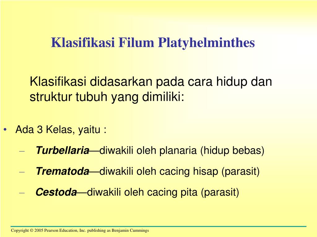 cacing platyhelminthes ppt