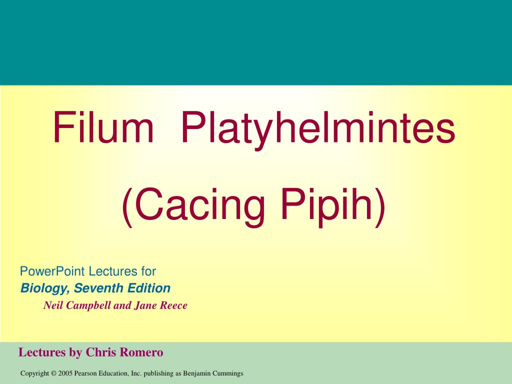 cacing platyhelminthes ppt)