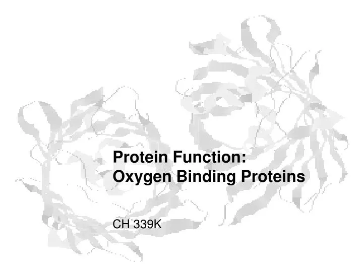 PPT - Protein Function: Oxygen Binding Proteins PowerPoint Presentation ...