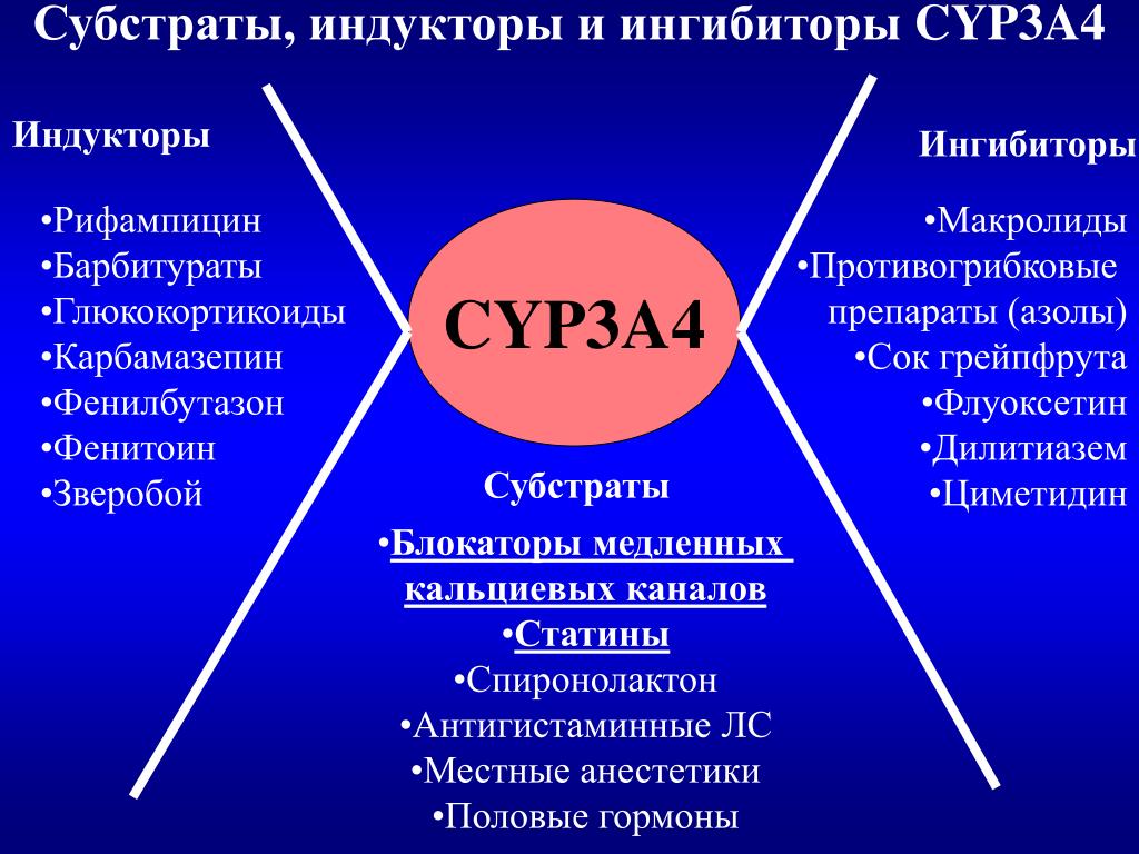 Ингибиторы cyp3a4