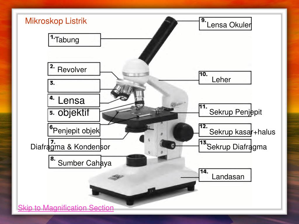 PPT - Mikroskop PowerPoint Presentation, free download - ID:4332726