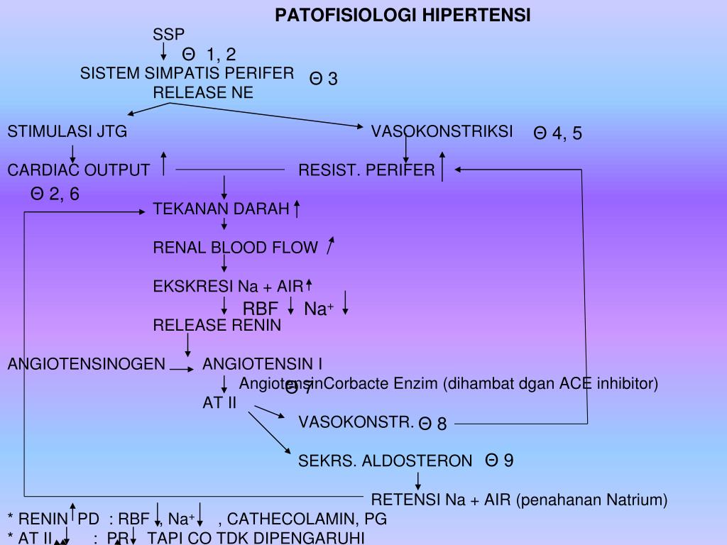 Farmakologi Hipertensi Lyrawatis Weblog