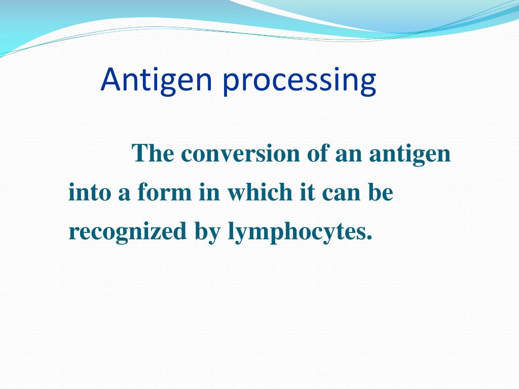PPT Antigen presenting cells and antigen presentation PowerPoint