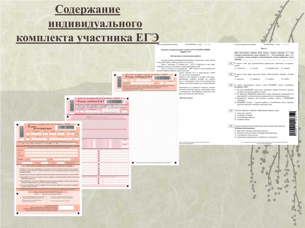 Содержание индивидуального. Индивидуальный комплект участника ЕГЭ включает.