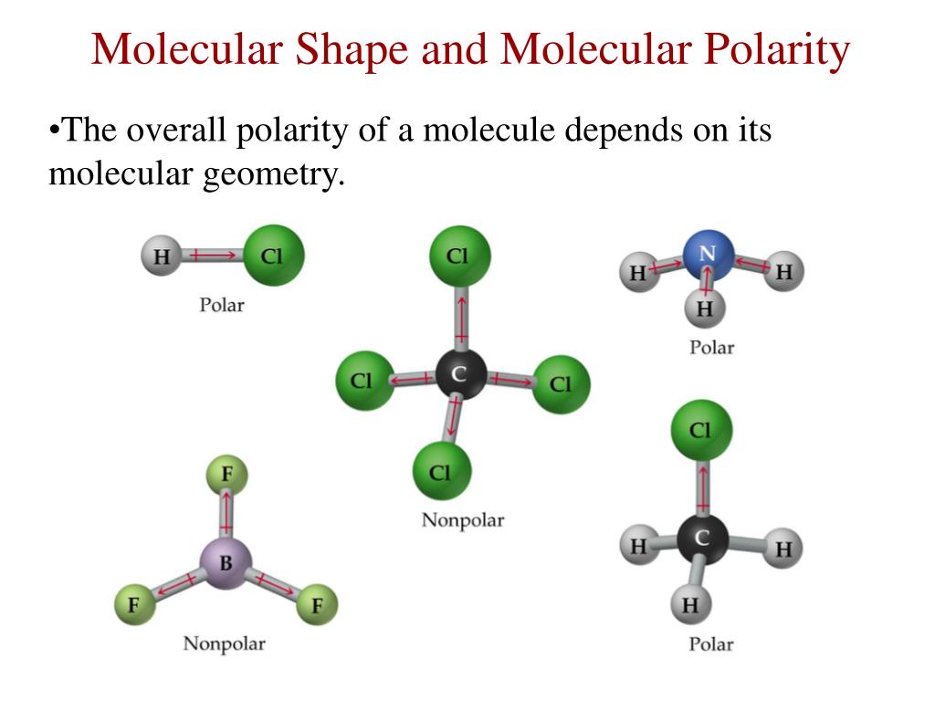 molecular shape and molecular polarity2.