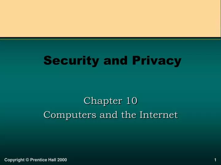 security and privacy n.