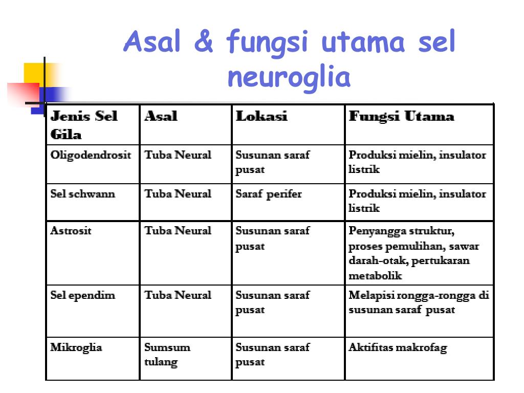 PPT - Histologi Jaringan Syaraf PowerPoint Presentation ...