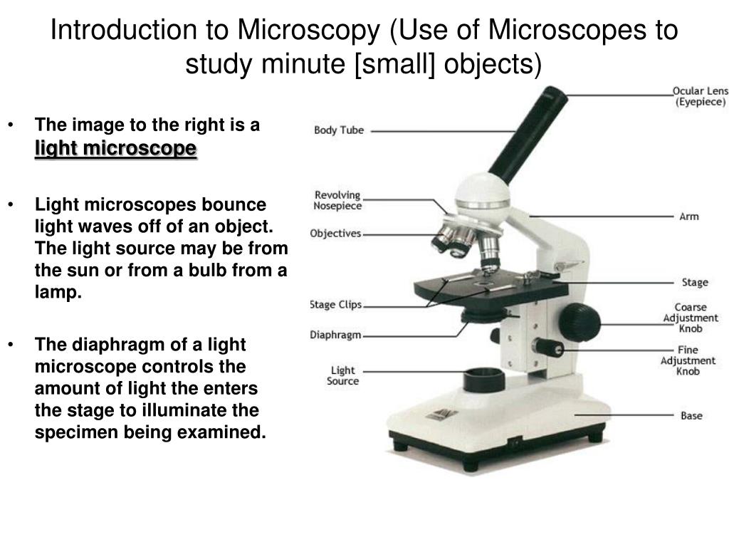 A Light Microscope - Micropedia