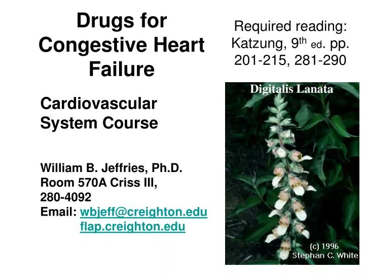 PPT - Drugs for Congestive Heart Failure PowerPoint Presentation, free ...