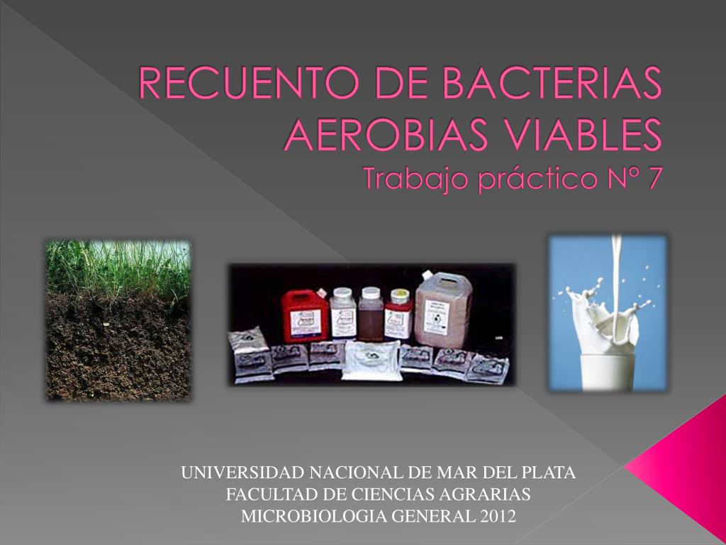 PPT - RECUENTO DE BACTERIAS AEROBIAS VIABLES Trabajo práctico N° 7  PowerPoint Presentation - ID:4340725