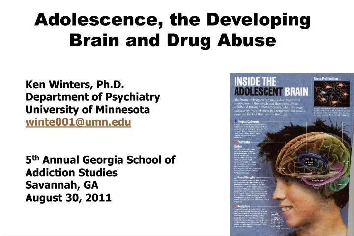adolescence the developing brain and drug abuse n.