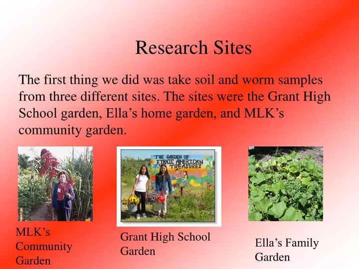 Ppt Mlk S Community Garden Powerpoint Presentation Free