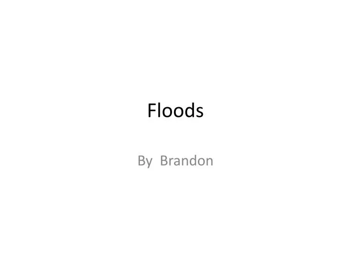 floods n.