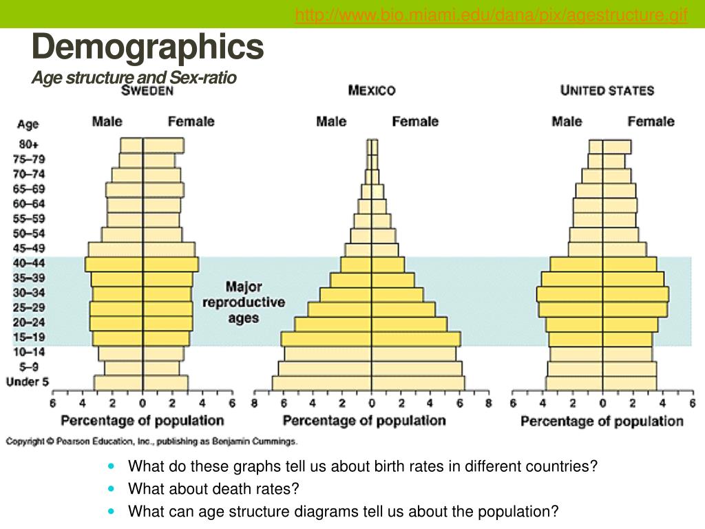 PPT - Population Dynamics PowerPoint Presentation, free download - ID ...