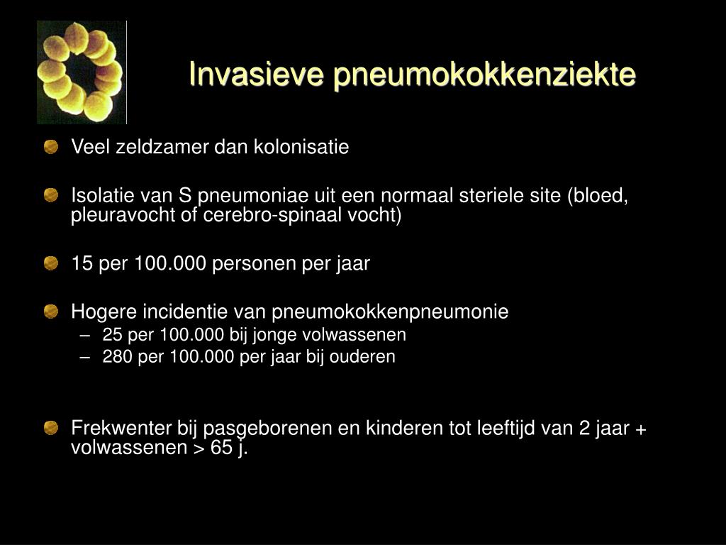 PPT - Pneumokokkeninfecties PowerPoint Presentation, Free Download - ID ...