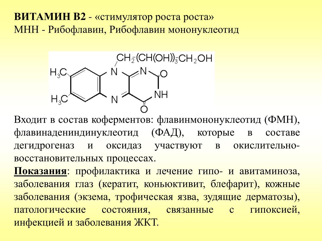 Витамины характеризуются. Витамин b2 структура. Витамин б2 рибофлавин. Синтез витамина в2. Витамин в2 кофермент ФАД.